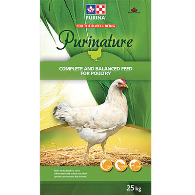 Chick Layer, 18% - 25 kg
